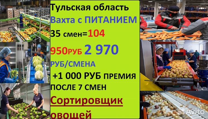 Сортировщик овощей Вахта+питание+премия Щекино