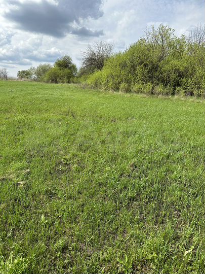 Участок 1,33 га (ИЖС)