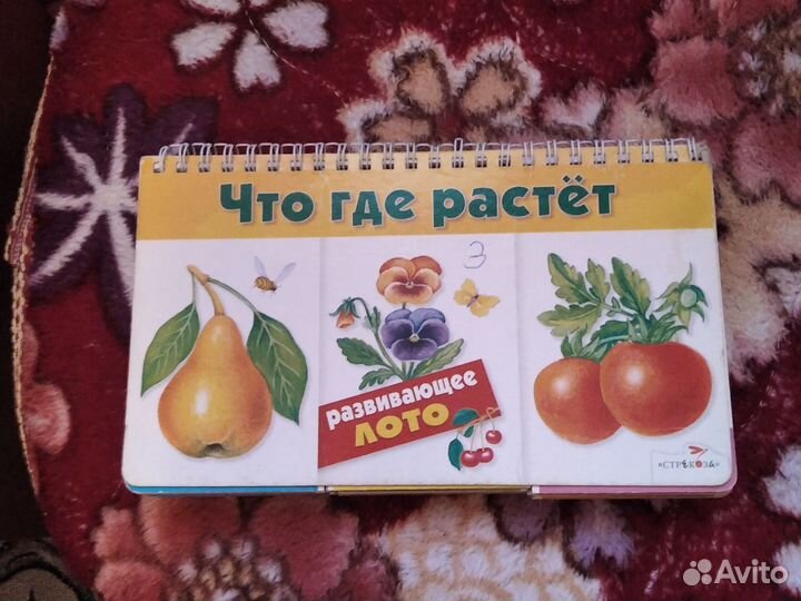 Развивающее лото для малышей