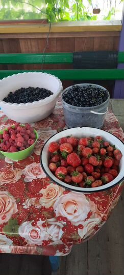 Дача 24 м² на участке 4 сот.