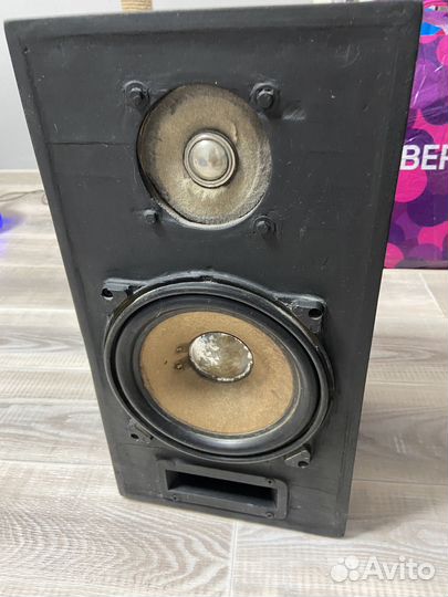 Колонки Вега 35ас 105