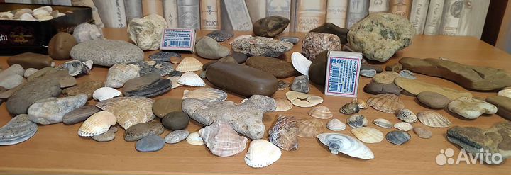 Камни и ракушки для аквариума