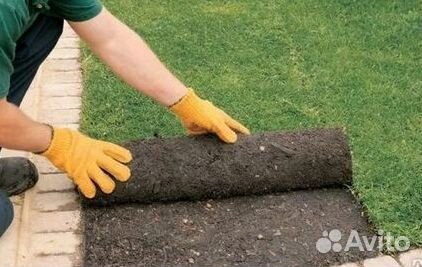 Гидропосев