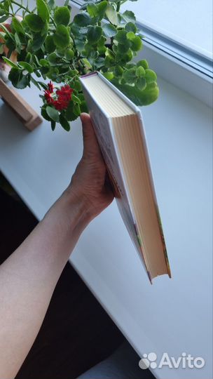 Книга Моя прекрасная жизнь во Франции