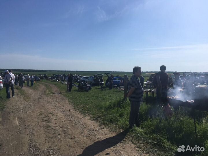 Грампластинки