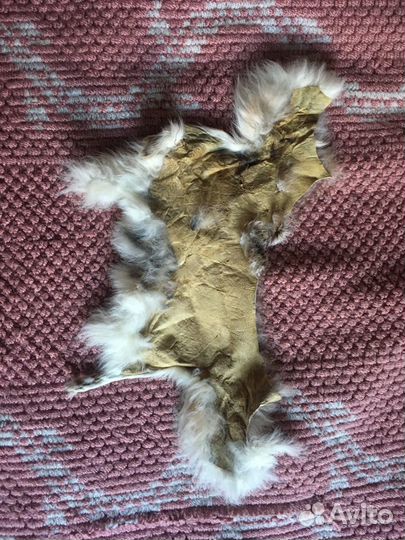 Натуральный мех шкурки - кролик, норка (комплект)