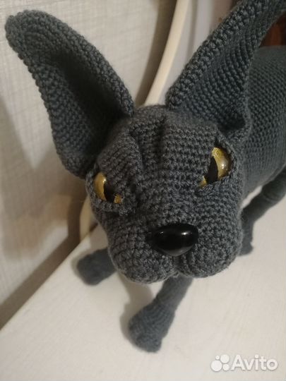 Сфинкс,которого не надо кормить