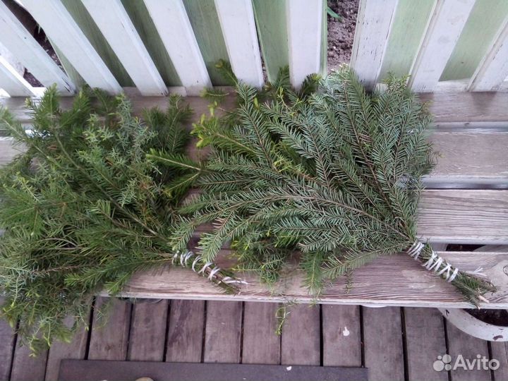 Веники для бани