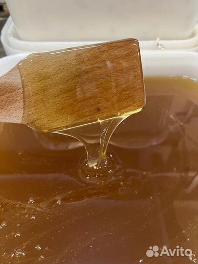 Липа свежая. Мёд натуральный оптом