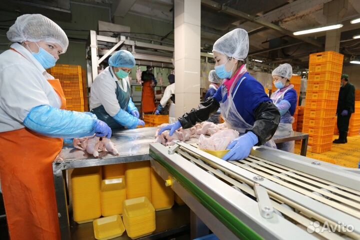 Упаковщик вахтой в г. Глазов