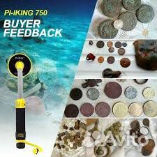 Подводный металлоискатель Pi-iking 750 (Аренда)