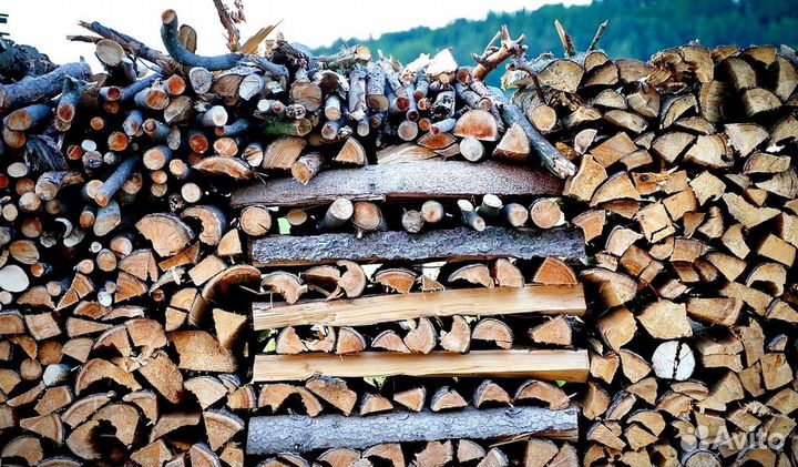 Дрова с Выборга