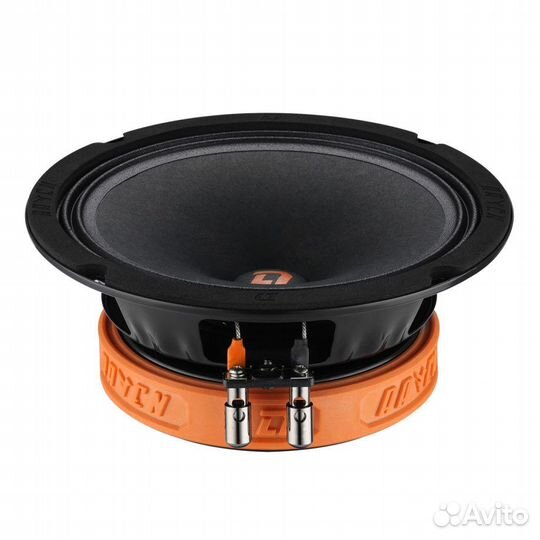 Dl audio Raven 165