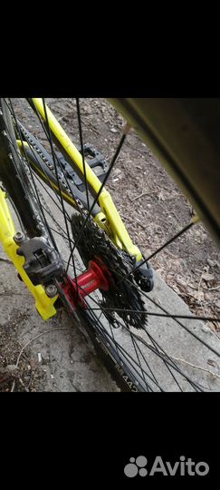 Transition patrol 2016