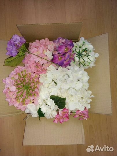 Гортензия искусственная разная