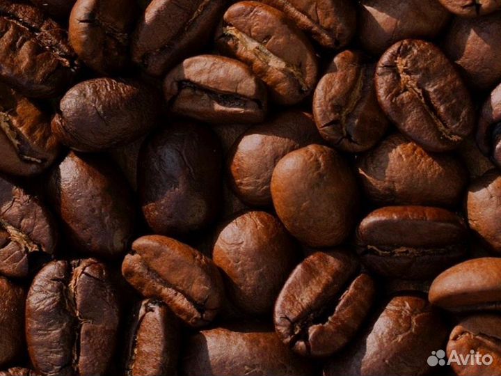 Кофе в зернах свежеобжаренный оптом и в розницу