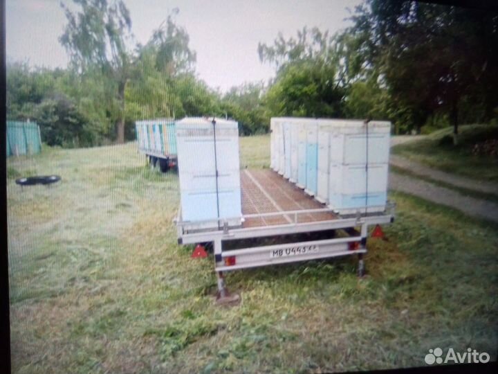 Продаётся пасека