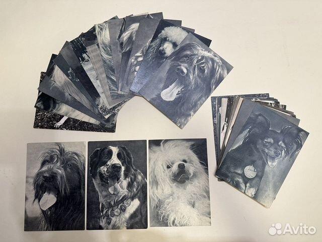 Старинные открытки СССР с собаками 1968-69 гг