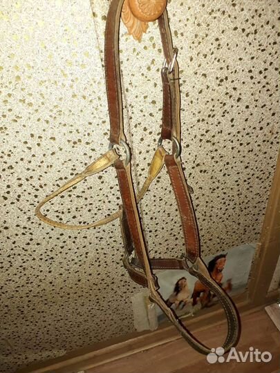 Амуниция для лошади