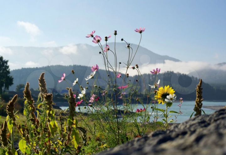 Участок 2,84 га (СНТ, ДНП)