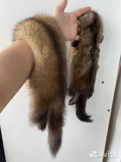 Шкуры соболя