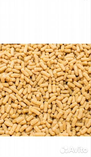 Корм для прудовых рыбок