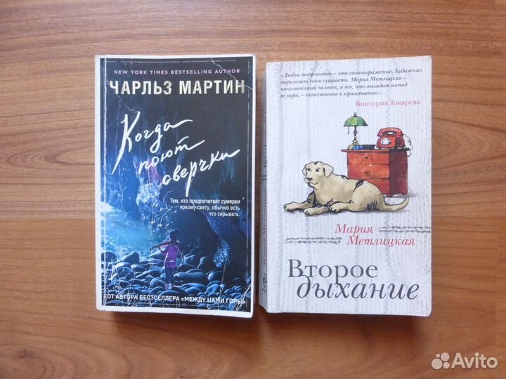 Книги (детективы, боевики, фантастика и другие)