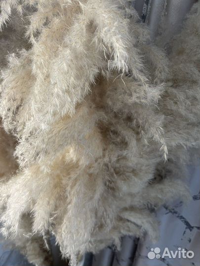 Пампасная трава с вазой