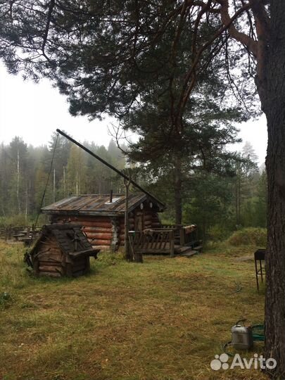 Услуги по организации рыбалки и охоты