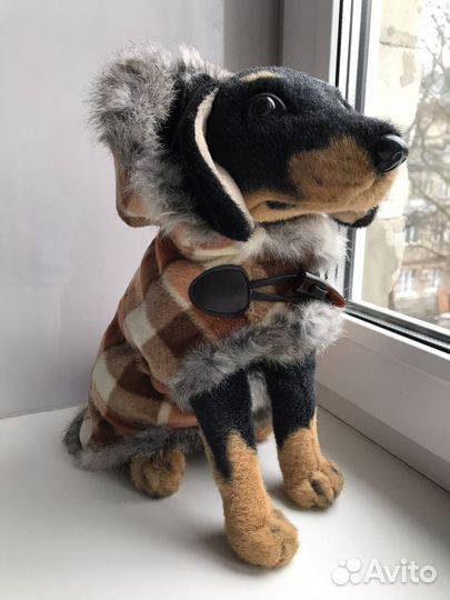 Одежда для животных