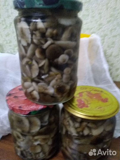Маринованые грибы опята,маслята