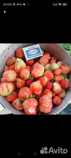 Клубника малина крыжовник слива ирга боярка