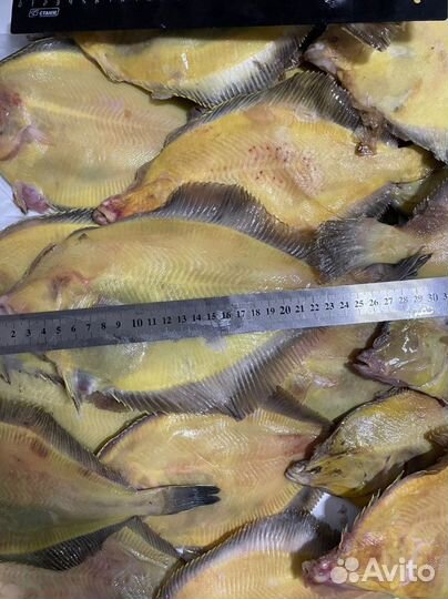 Камбала с бесплатной доставкой