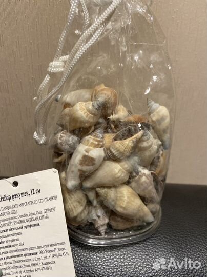 Ракушки для аквариума и подделок