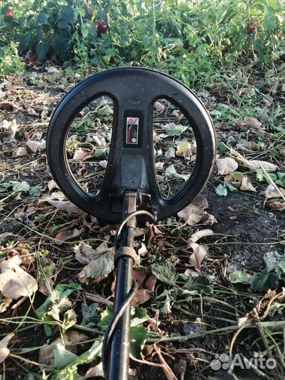 Металлоискатель minelab x terra 705