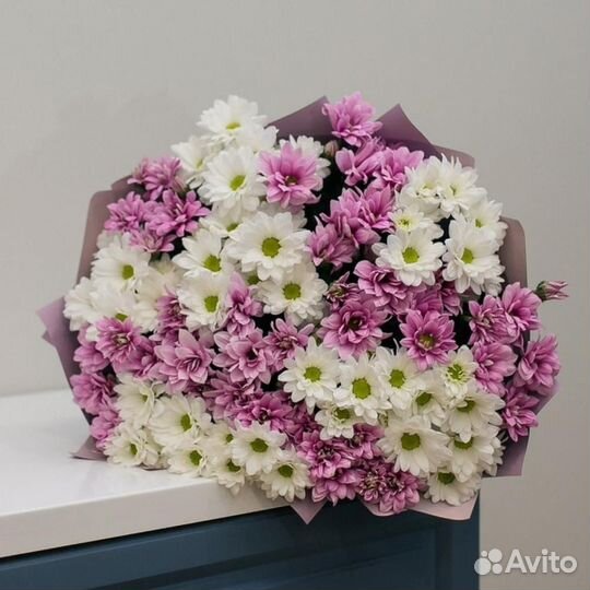 Хризантема Ромашковая с Доставкой