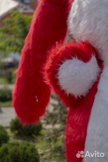 Надувной костюм. Символ года 2023