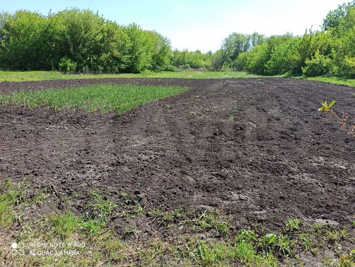 Дом 56 м² на участке 45 сот.