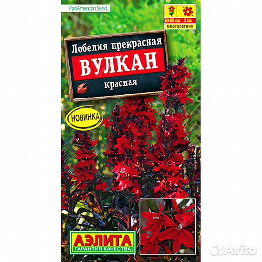 Лобелия Вулкан красная