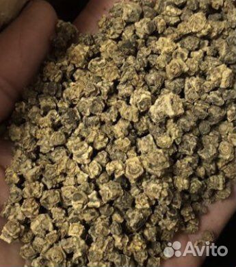 Семена кормовой свеклы