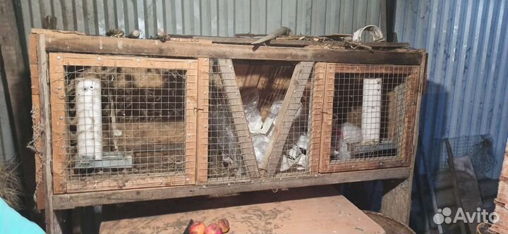 Клетка для кролика