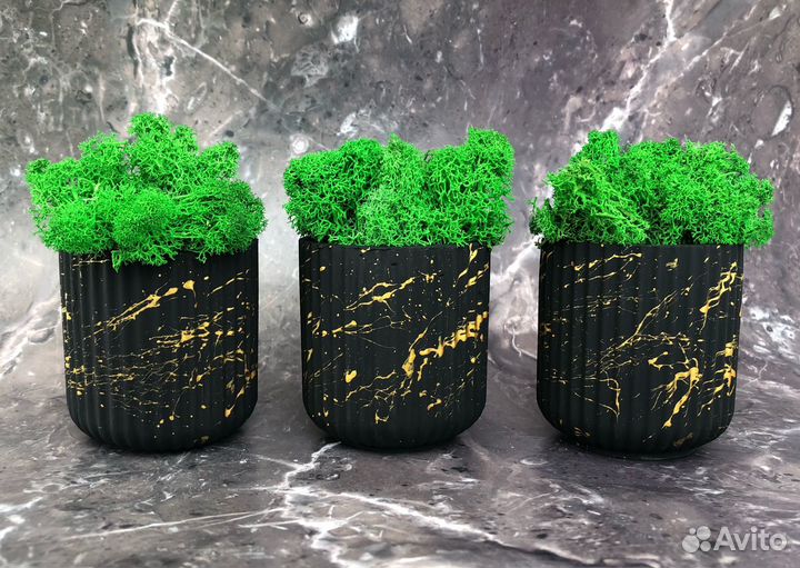 Кашпо с осокой/ягелем