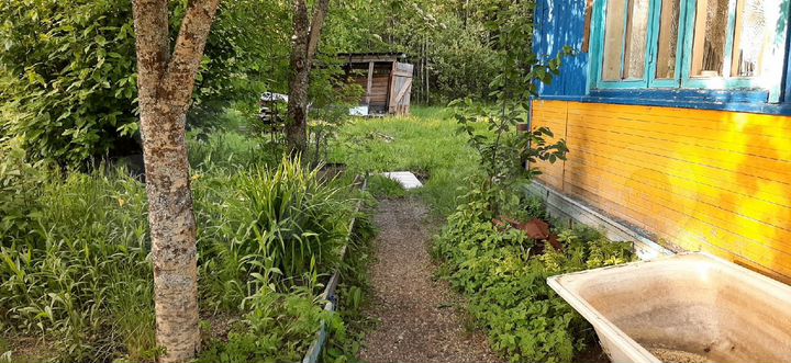 Дача 25 м² на участке 12 сот.