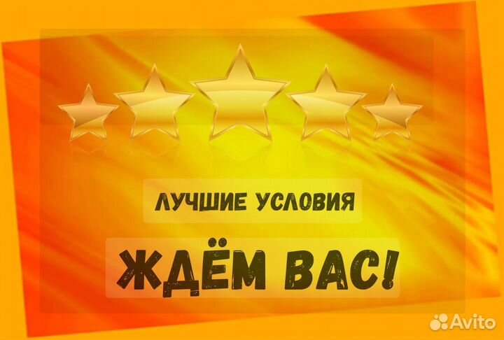 Сортировщик Еженедельный аванс Спецодежда М/Ж