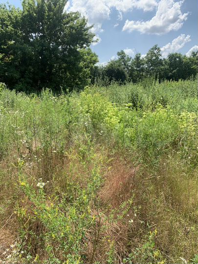 Участок 8 сот. (ИЖС)