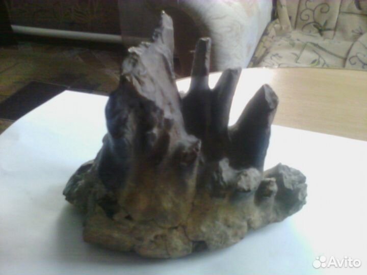 Зуб мамонта