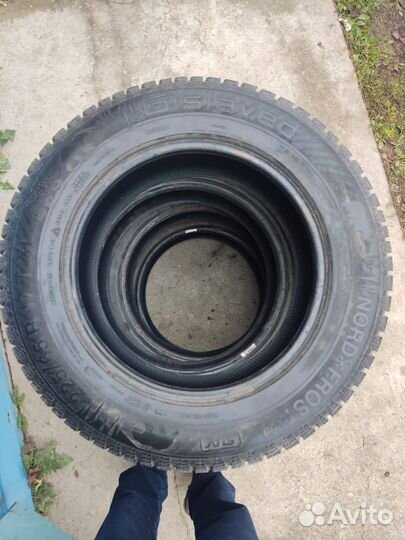 Гисловед норд фрост