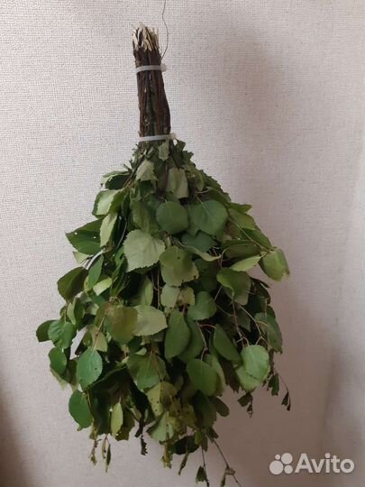 Березовые веники