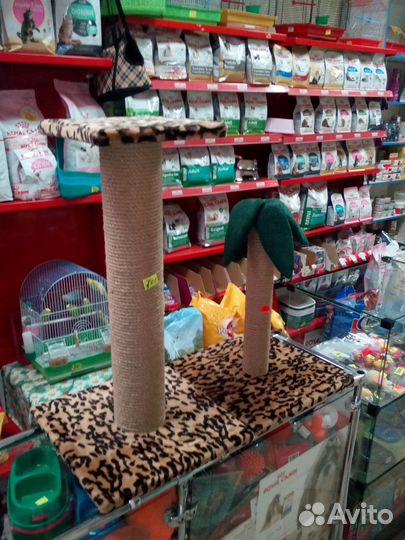 Когтеточки для кошек