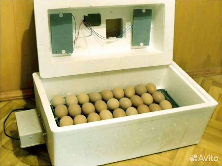 Инкубатор автоматический